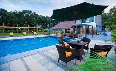 Summer Special Offer